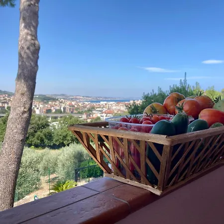 Casolare Vista Mare Il Gabbiano Apartment *